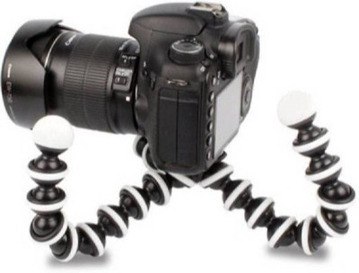

Landmark GVL_549G Tripod(Multicolor, Supports Up to 1500 g)