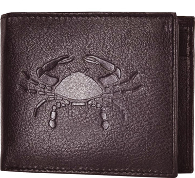 

JusTrack Men Casual Brown Genuine Leather Wallet(2 Card Slots)