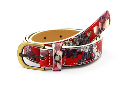 

ELS Women Casual Multicolor Artificial Leather, Synthetic Belt, Red
