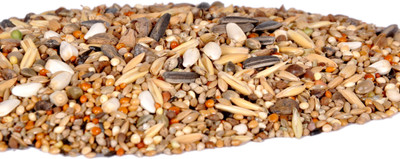 

Pet Care cocktail seed mix and love birds seed mix 21 types of seeds Nuts 500 g Dry Bird Food