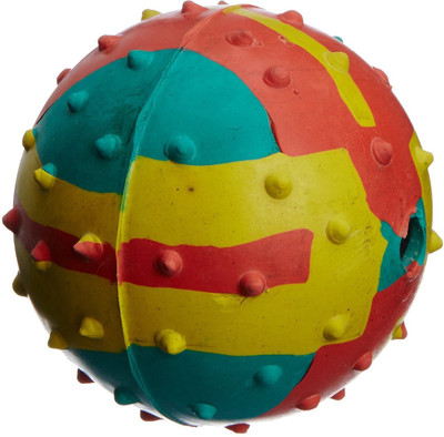 

Pet Needs Rubber Fetch Toy For Dog