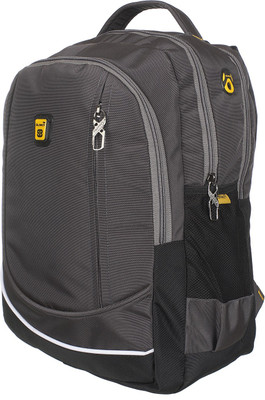 

Blowzy Waterproof Casual 15.6 L Laptop Backpack(Red), Black