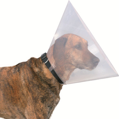 

Trixie Protective  Pack of 2 Dog Everyday Collar(, Transparent