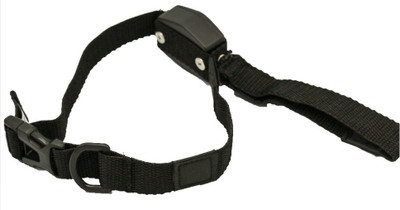 

Inditradition 2 in 1 Retractable Dog Leash & Collar | Heavy Duty Dog Leash 5 cm Dog Strap Leash(Black)
