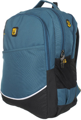 

Blowzy Waterproof Casual 15.6 L Backpack(Blue, Black), Light blue