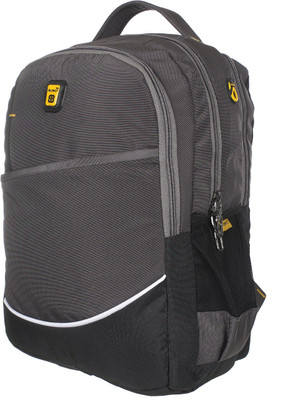 

Blowzy Waterproof Casual 15.6 L Backpack(Grey), Black