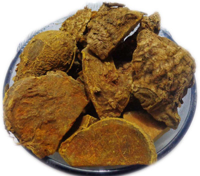 GOYAL GROUP Mango Ginger Seed Seed(1 per packet)