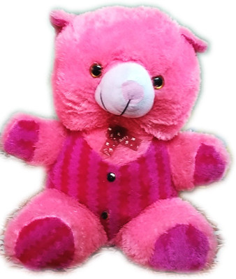 

TECHSOFT POO TEDDY BEAR - 50 cm(Multicolor)