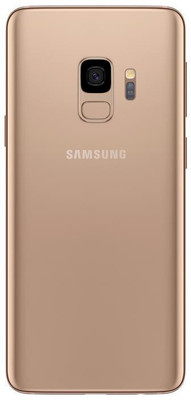 BrewingQ Samsung Galaxy S9 Back Panel(Gold)