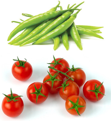 ZONATO Green Chili and Tomato Best Quality Premium Seed(100 per packet)