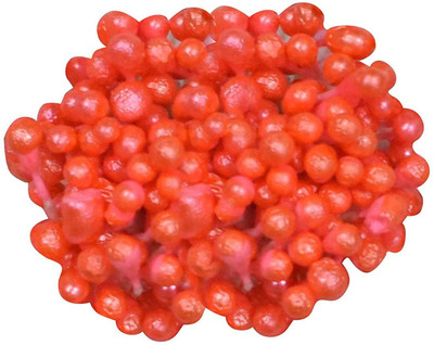 

AsianHobbyCrafts Flower Making Pearl Shining Pollens Pack of 10 Bunches (500pcs Approx.) Orange