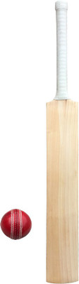 

SA Sports Kashmir Willow with Leather Ball Cricket Kit