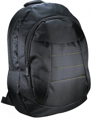 

ALONZO 15.6 inch Backpack (Black) Waterproof Backpack(Black, 21 L)