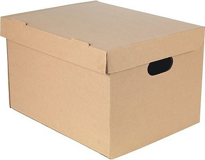 

EasyBox Heavy Duty Double Wall Carton Paper File Storage, Record Storage, Document Storage, Packing, Moving, Storing Packaging Box(Pack of 10 Brown)