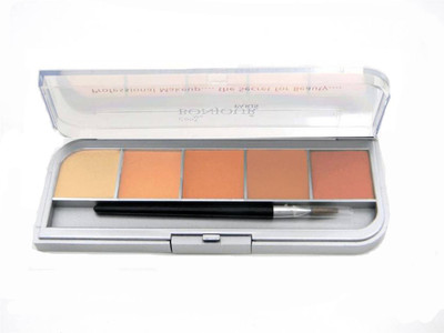 

Bonjour Paris Professional Pallete Concealer(Multicolor, 5 g)