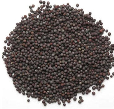 

IndianJadiBooti Black Mustard(100 g)