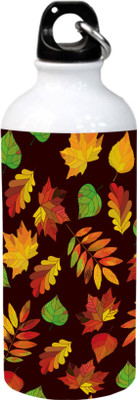 

Delberto Multicolor Leaf Desing Aluminium Sipper 600 ml Sipper(Pack of 1, Multicolor), Muiticolour