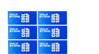 

Wild Stone COOL SOAP 75GM(75 g, Pack of 6)
