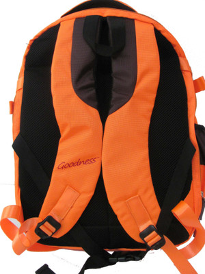 

Goodness 17 Inch Stylish Premium Brown/Orange Waterproof College School Laptop Bag Backpack âTroy 30 L Laptop Backpack(Brown, Orange)