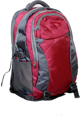 

Sammerry Pithoo 20 L Laptop Backpack(Pink)