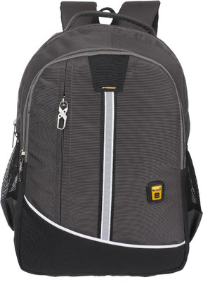 

Blowzy Expandable 15.6 L Laptop Backpack(Blue), Grey