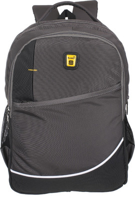 

Blowzy Expandable 15.6 L Laptop Backpack(Blue), Grey