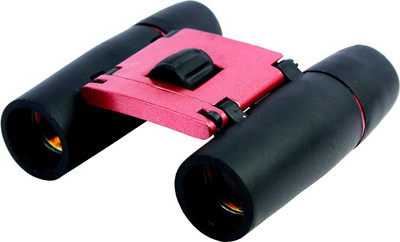 

Inalsa Folding Binoculars(55 mm, Multicolor)