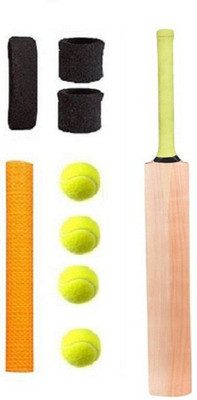 

RSSSTORE PLAN PO Cricket Kit