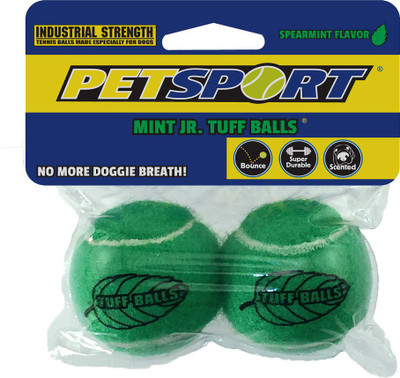 Petsport Nylon Ball For Dog