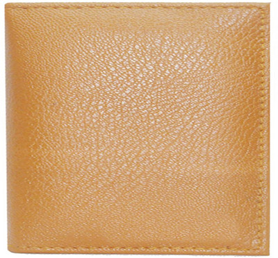 

Hide & Sleek Men Tan Artificial Leather Card Holder(5 Card Slots), Tan-635