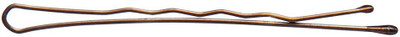 

Diane 2-Inches Bobby Pins, Bronze, 300 Count, D427 Hair Clip(Multicolor)