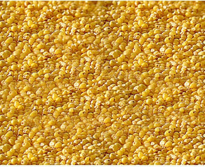 

Pet Care millet for budgies,African love birds,finches Nuts 1500 g Dry Bird Food