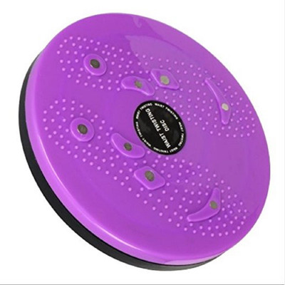 

V.M Enterprises India Best Tummy Trimmer Acupressure Twister (Pyramids n Magnets) Stepper(Multicolor)