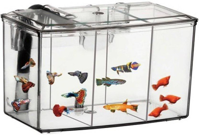 

Aquapetzworld Hang-on Breeding House XL (Capacity-2.5Liter | WATER GUIDER Results From Special Fenders) Rectangle Aquarium Tank(2.5)