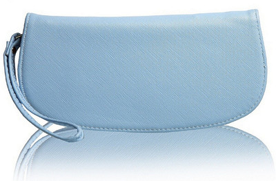 

Fiona Trends Casual Blue Clutch