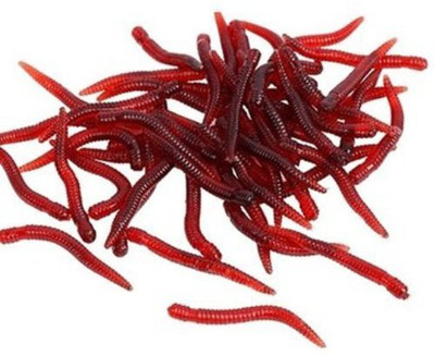 

Moonshine Soft Bait Silicone Fishing Lure(Pack of 10, Size 4)