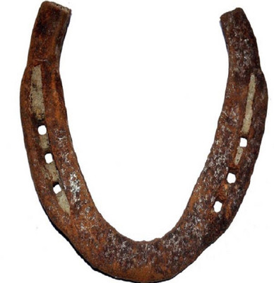 Aksam Sarva Kashta Nivaran Kale Ghode Ki Naal Iron Yantra(Pack of 1)