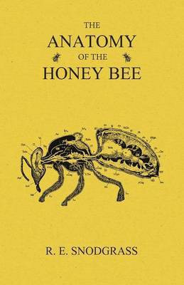 The Anatomy of the Honey Bee(English, Paperback, Snodgrass R E)
