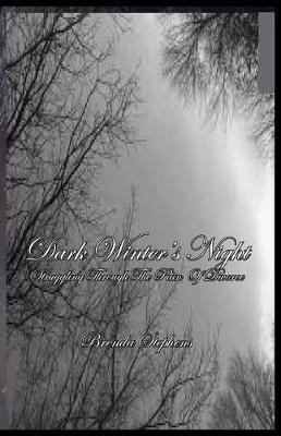 Dark Winter's Night(English, Paperback, Stephens Brenda)