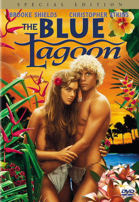 

the blue lagoon blue ray , region free(DVD English)