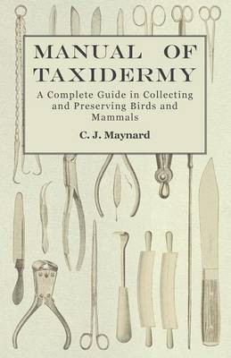Manual of Taxidermy - A Complete Guide in Collecting and Preserving Birds and Mammals(English, Paperback, Maynard C J)