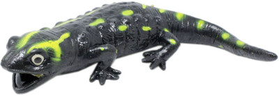 

Tootpado 2FNS103(Black)