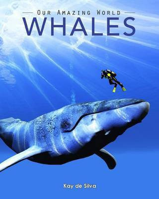 Whales(English, Paperback, De Silva Kay)