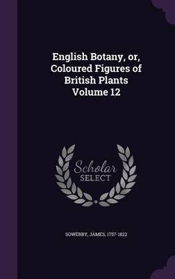 English Botany, or, Coloured Figures of British Plants Volume 12(English, Hardcover, Sowerby James)