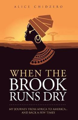 When the Brook Runs Dry(English, Paperback, Chidzero Alice)