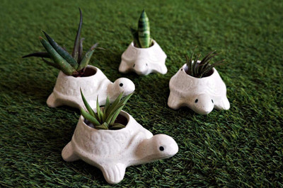 Bright Shop Ceramic White Colour Tortoise (Turtle) Shape Pot Set Of 4 Miniature Planter Container Plant Container Set(Pack of 4, Ceramic)