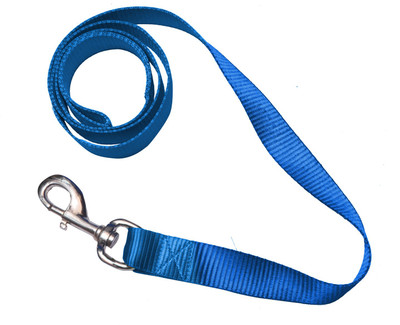 

Loving Pets Dog Collar & Leash(, Blue