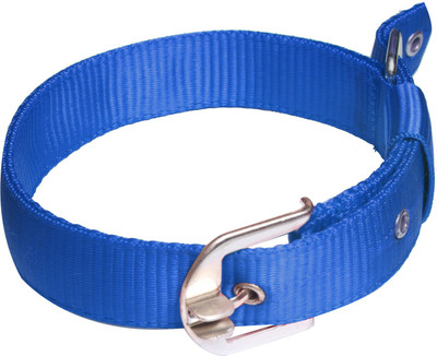 

Loving Pets Dog Collar & Leash(, Blue