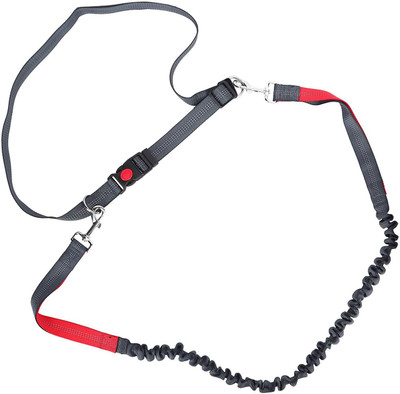 

SRI Dog Everyday Collar(, Grey