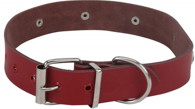

SRI Dog Everyday Collar(, Red
